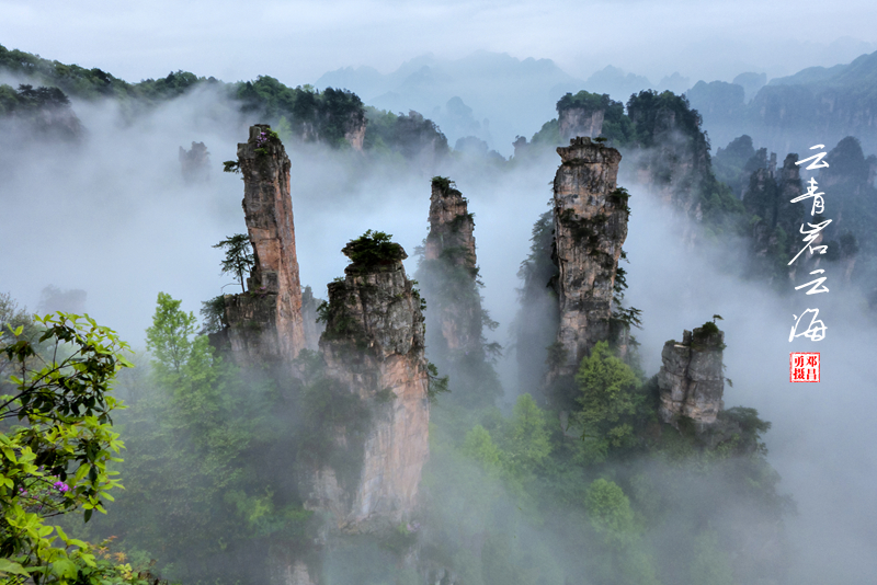 文章附图