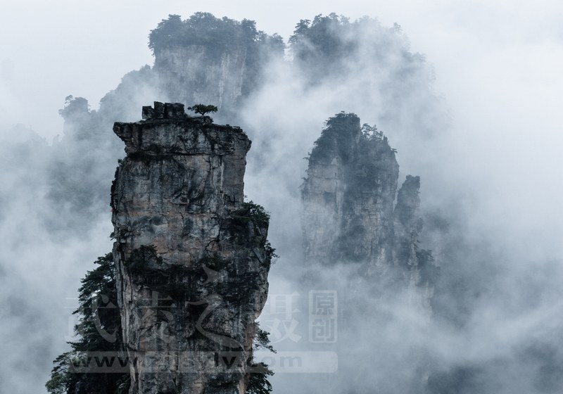 文章附图